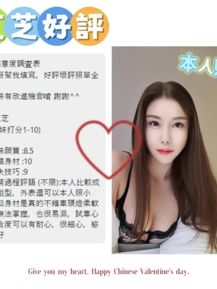 台東定點茶-芝芝/155/43/?/F