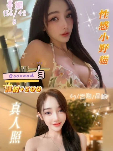 新北定點茶-蔓妮/156/42/?/D