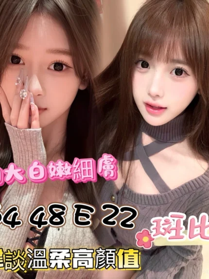 台南外送茶-斑比/164/48/22/E