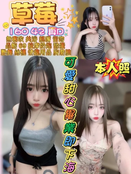 花蓮定點茶-草莓/160/42/23/D