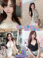 新北定點茶-月亮/155/42/22/D