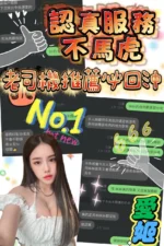 嘉義定點茶-愛姬/160/47/?/G