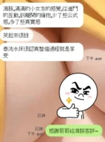 新竹定點茶-海豚/151/43/?/D