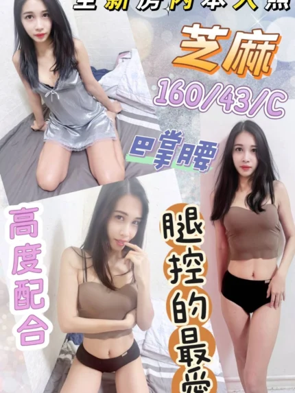 彰化定點茶-芝麻/160/43/?/C