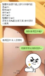 新竹定點茶-海豚/151/43/?/D