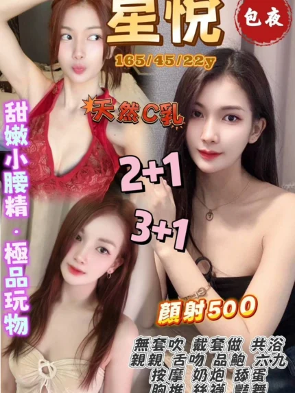 桃園定點茶-星悅/165/45/22/C