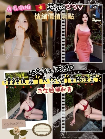 桃園定點茶-芯芯/158/43/23/D