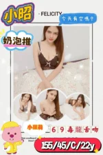 台中定點茶-小昭/155/45/22/C