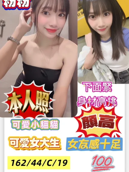 高雄定點茶-粉粉/162/44/19/C