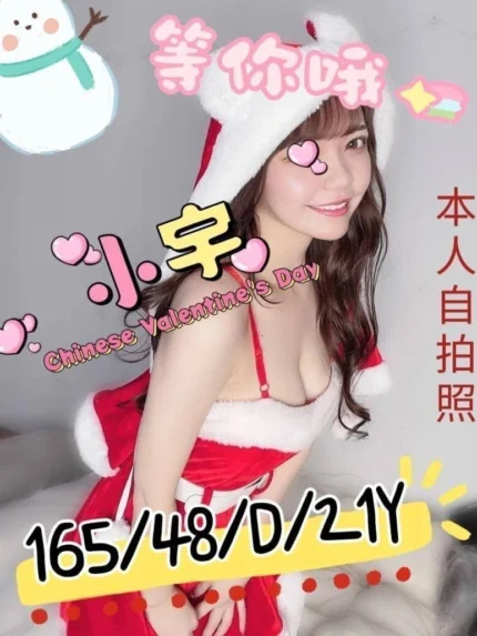 嘉義外送茶-小宇/165/48/21/D