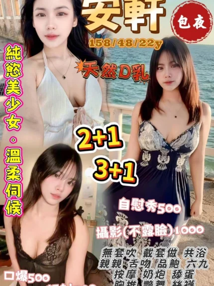 桃園定點茶-安軒/158/48/22/D