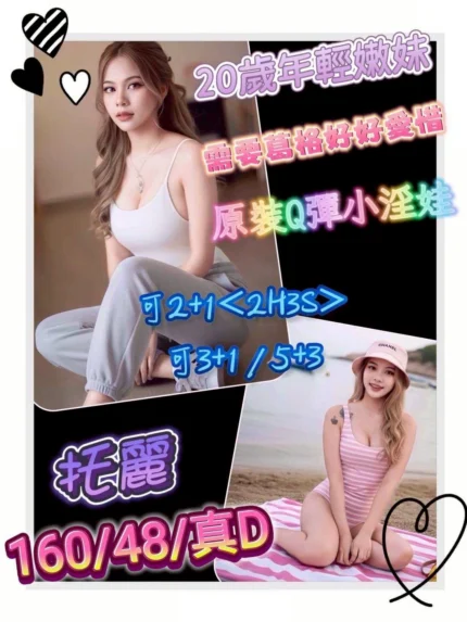 桃園定點茶-托麗/160/48/20/D