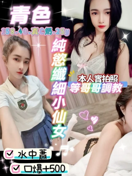 桃園定點茶-青色/158/40/25/C