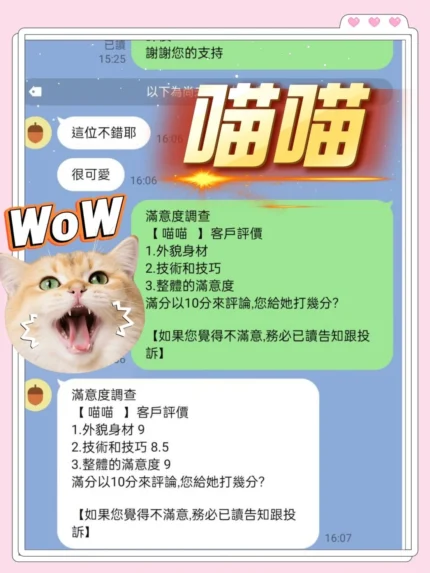 台中定點茶-喵喵/155/42/19/C