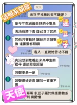 台中定點茶-迷豆子/155/43/?/C