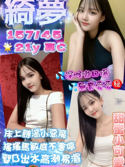 桃園定點茶-綺夢/157/45/21/C