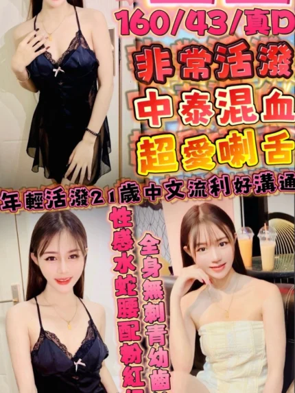 新竹定點茶-星星/160/43/21/D