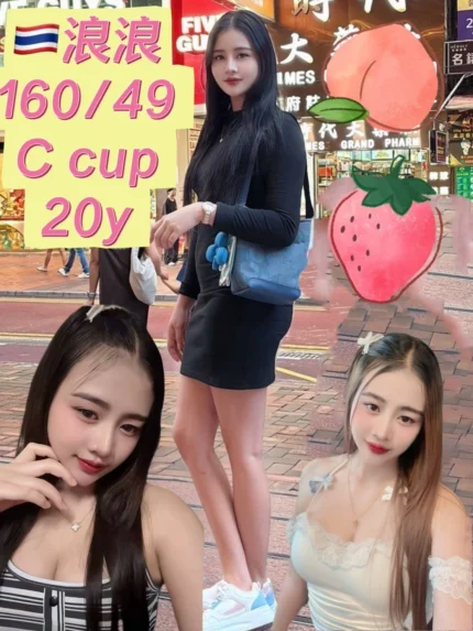 新北定點茶-浪浪/160/49/20/C