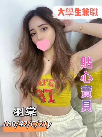 台中外送茶-羽棠/160/42/21/C