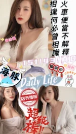 新竹定點茶-海豚/151/43/?/D