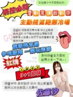 台南定點茶-佐藤汐/155/44/?/G