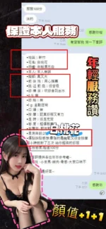 新竹定點茶-白桃花　/153/43/21/D