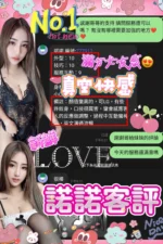 台中定點茶-諾諾/158/40/20/C