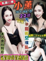 台北定點茶-迷你貓/150/42/22/D