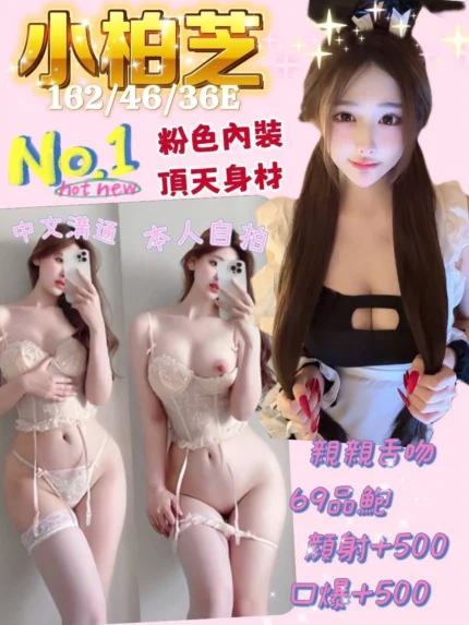 台南定點茶-小柏芝/162/46/20/E