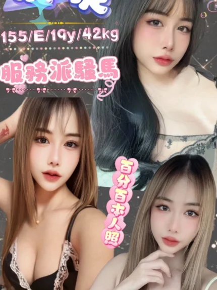 台北定點茶-飛旋/155/42/19/E