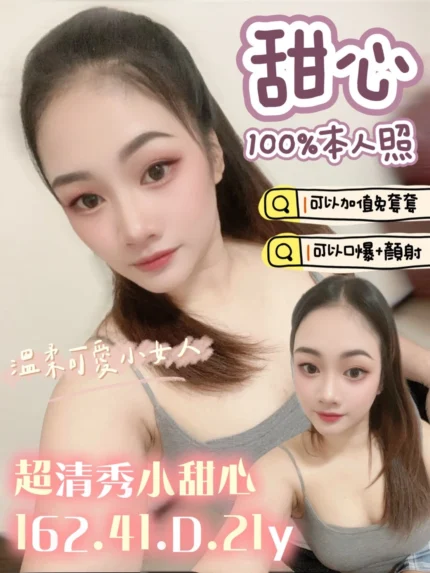 台南定點茶-甜心/162/41/21/D