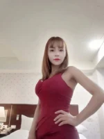 屏東定點茶,外送茶-貓貓/155/45/?/D