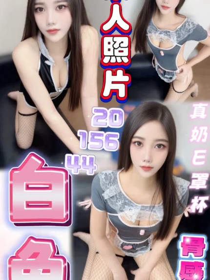 桃園定點茶-白兔/156/44/20/E