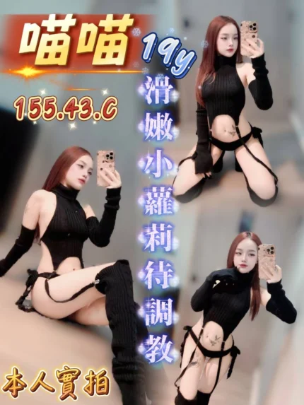 台中定點茶-喵喵/155/43/19/C