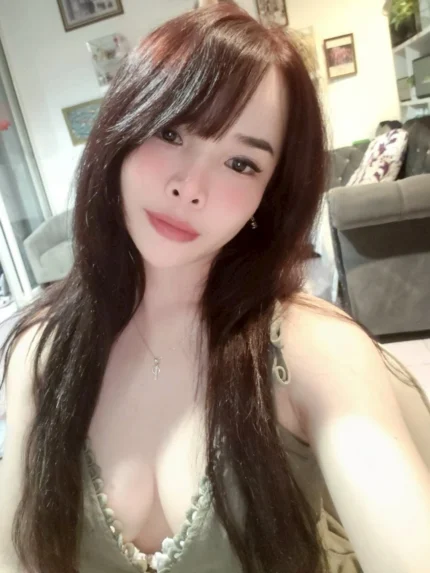 新北定點茶-月亮/155/42/22/D