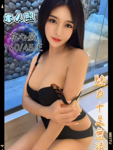 台中定點茶-花心晨/160/45/22/E