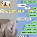 苗栗定點茶-娜美/155/40/22/H