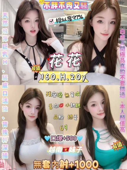 台北定點茶-花花/160/47/20/H