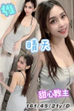 台北定點茶-晴天/161/45/21/D