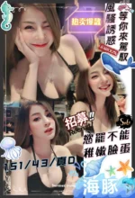 新竹定點茶-海豚/151/43/?/D