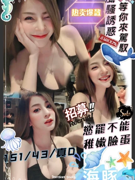 新竹定點茶-海豚/151/43/?/D