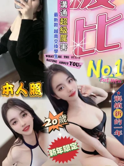 台中定點茶-波比/158/43/20/D