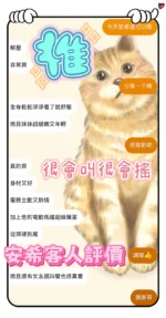 台中定點茶-安希/160/45/20/C