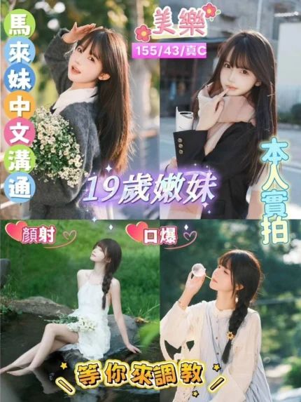 桃園定點茶-美樂/155/43/19/C