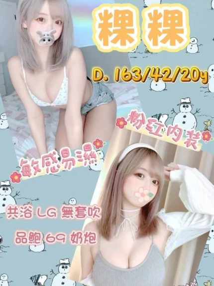 台南外送茶-粿粿/163/42/20/D