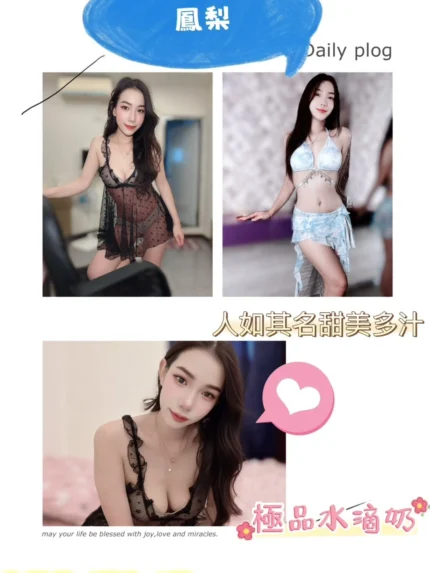 屏東外送茶-鳳梨/160/51/?/C