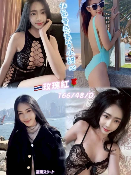 桃園定點茶-玫瑰紅/166/48/25/D