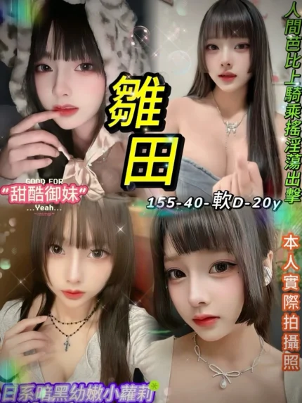 台北定點茶-雛田/155/40/20/D