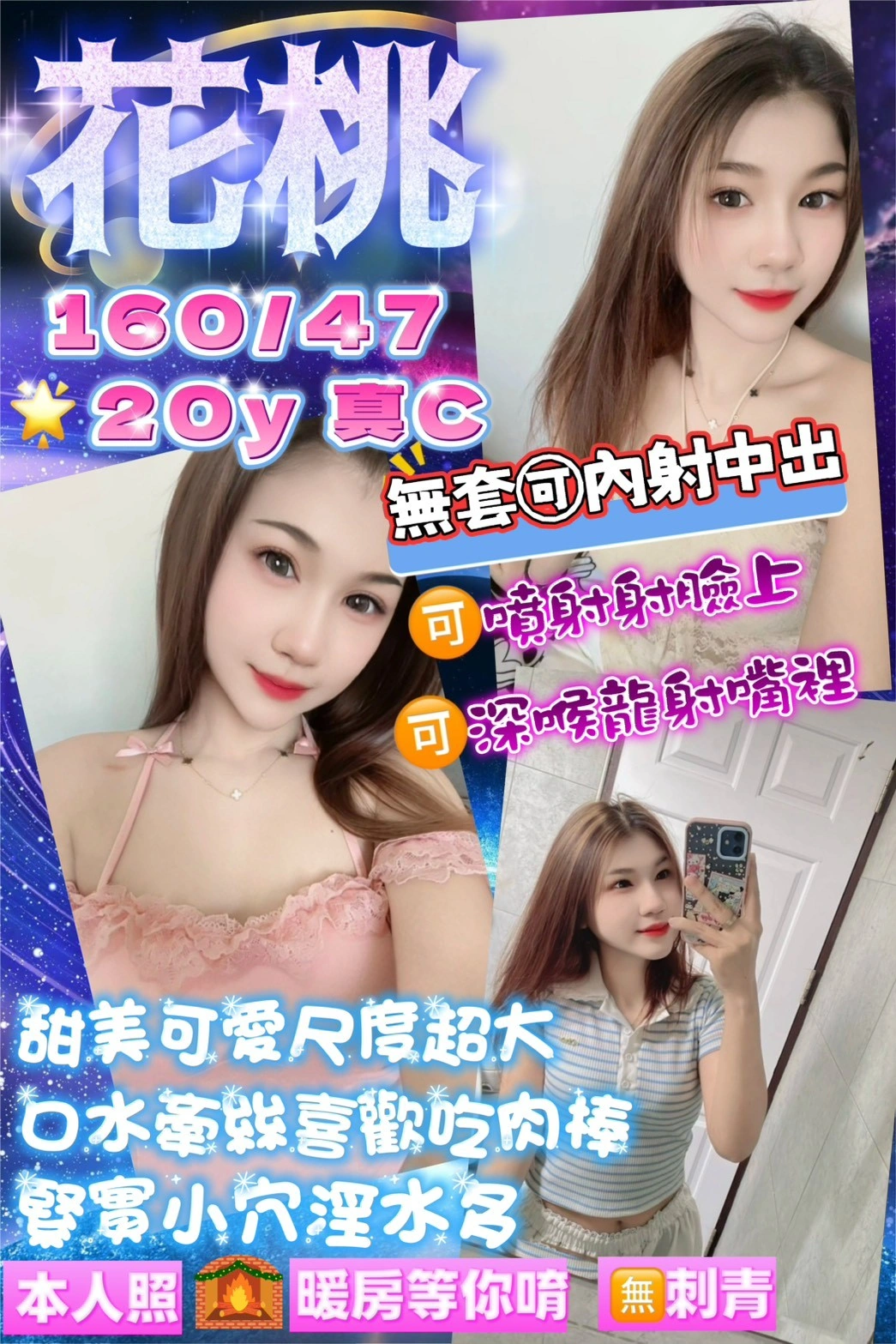 桃園定點茶-花桃/160/47/20/C 桃園定點茶-花桃/160/47/20/C