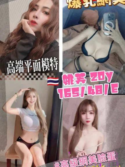 桃園定點茶-姚芙/165/48/20/E